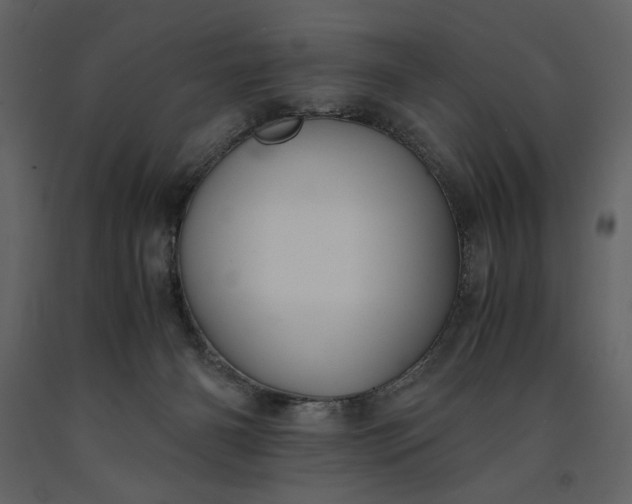 X0000091220126200708231640