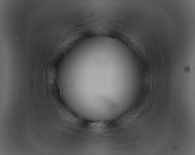 X0000091220133200708231640