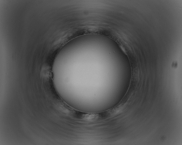 X0000091220135200708231640