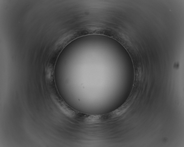 X0000091220138200708231640