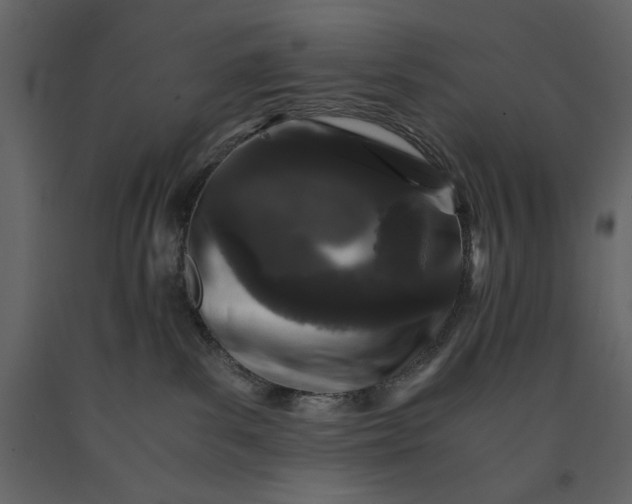 X0000091220139200708231640