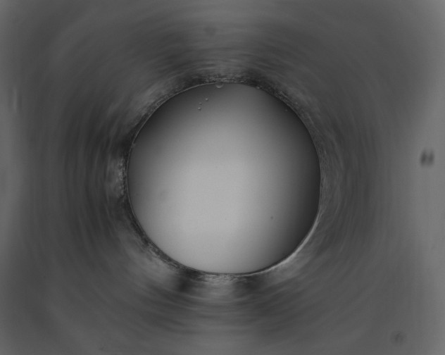 X0000091220144200708231640