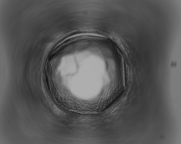 X0000091220145200708231639