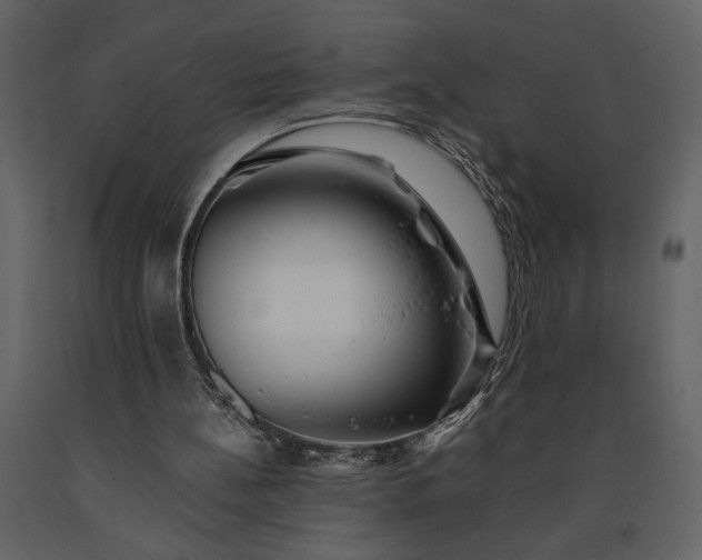 X0000091220148200708231639