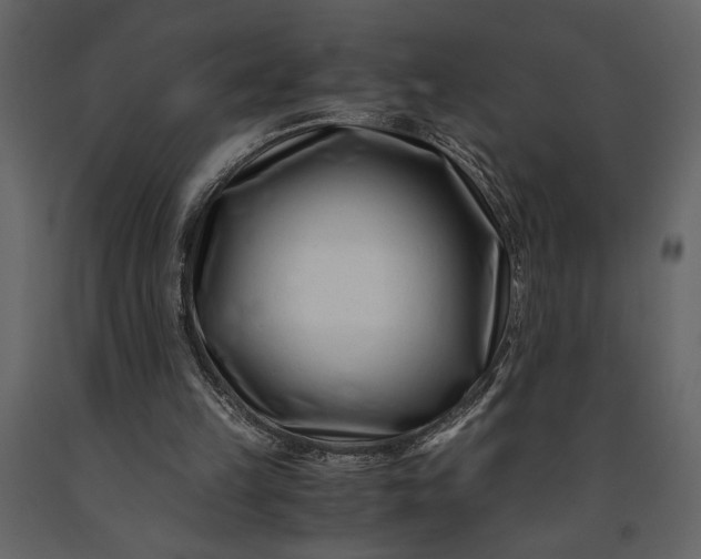 X0000091220149200708231639