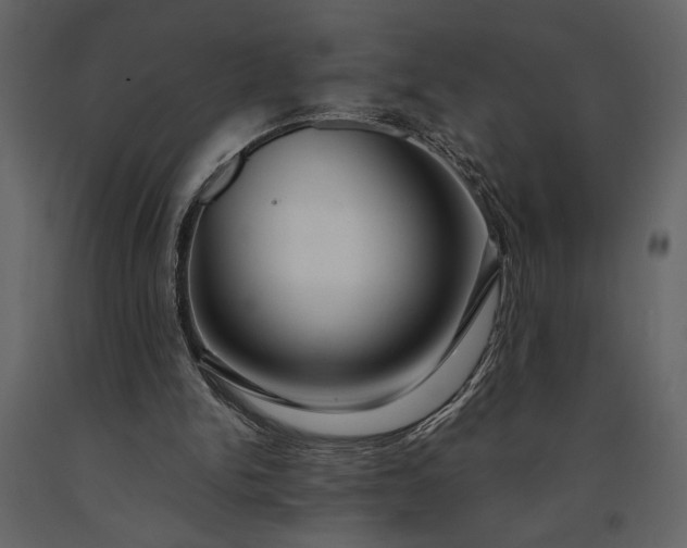 X0000091220150200708231639