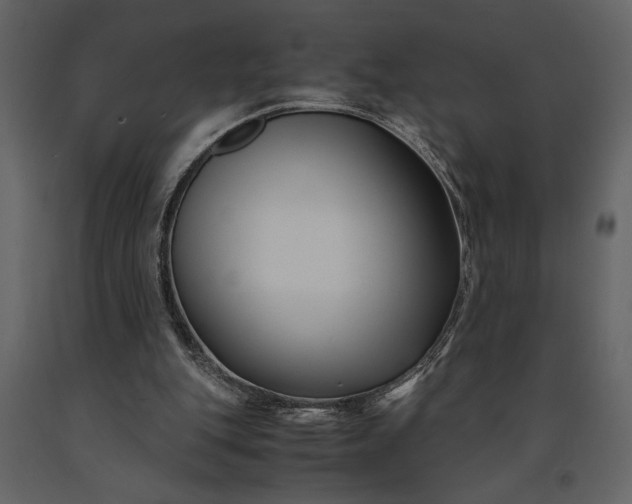 X0000091220151200708231639