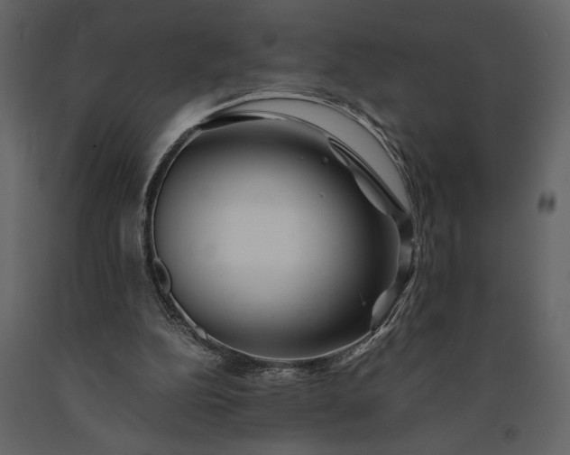 X0000091220152200708231639