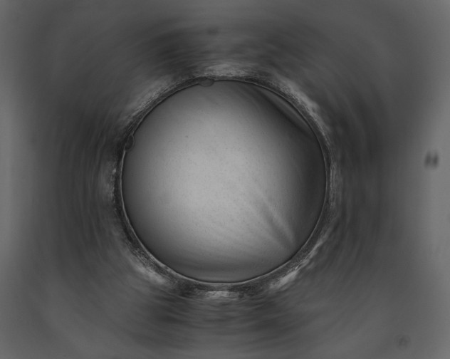 X0000091220153200708231639