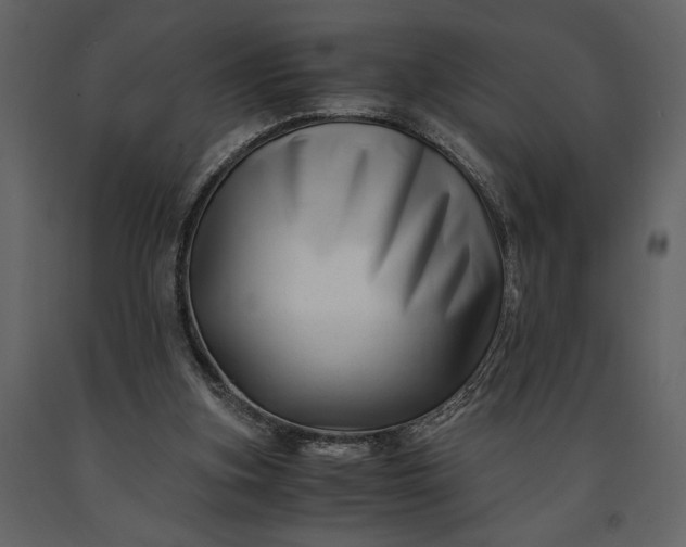 X0000091220155200708231639