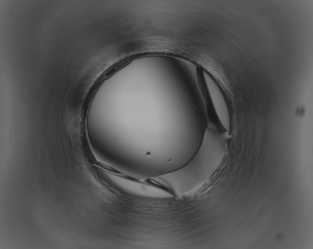 X0000091220156200708231639