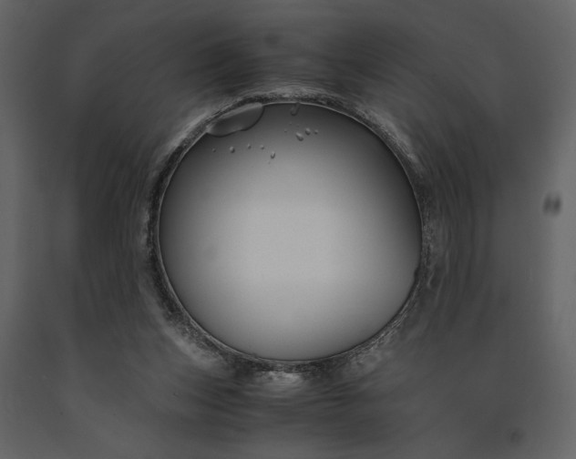 X0000091220159200708231639