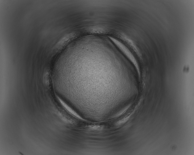 X0000091220161200708231639