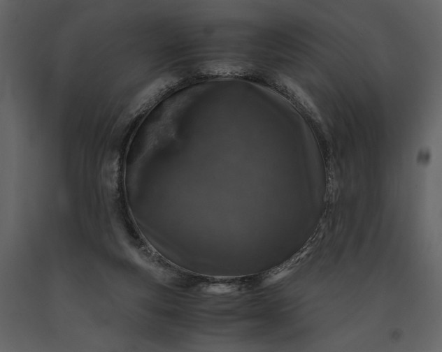 X0000091220163200708231639