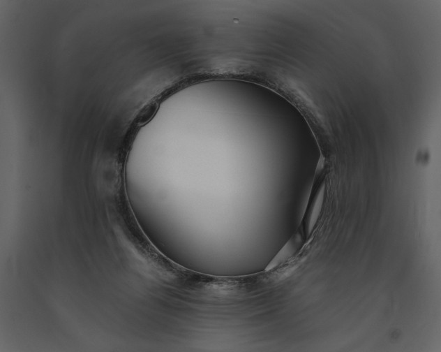 X0000091220164200708231639