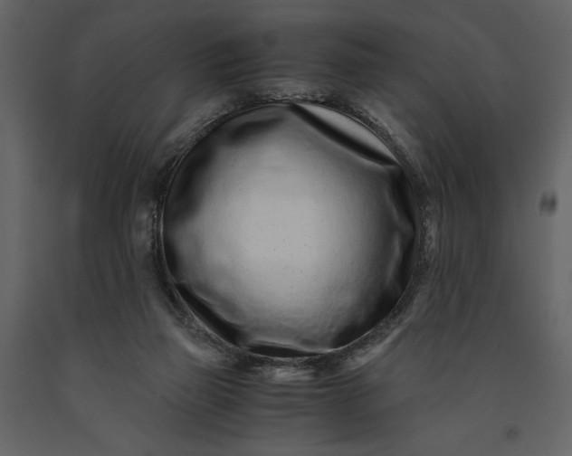 X0000091220165200708231639