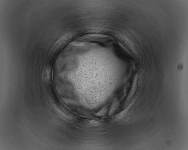 X0000091220166200708231639