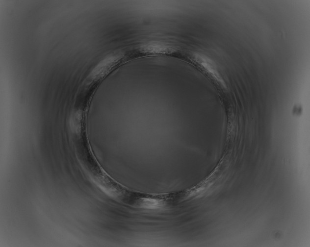 X0000091220167200708231639