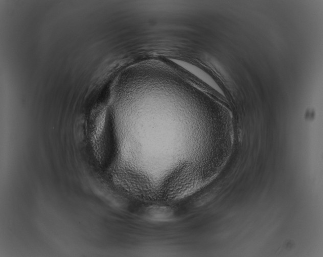 X0000091220169200708231639