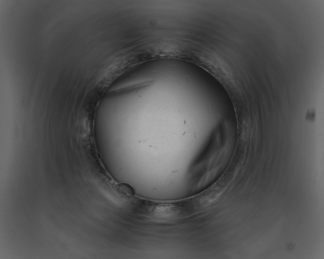 X0000091220173200708231639