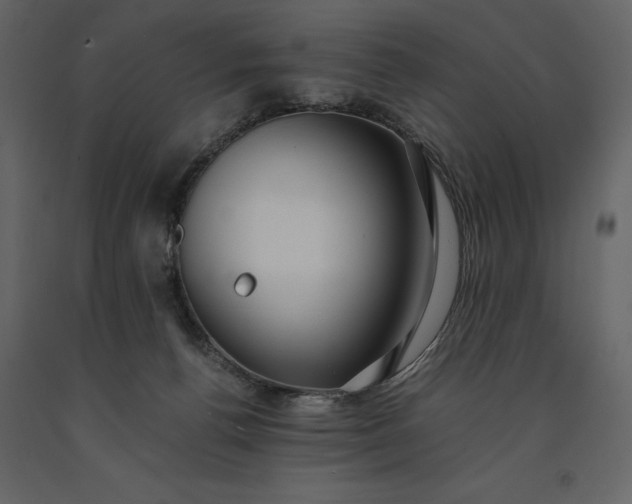 X0000091220176200708231639