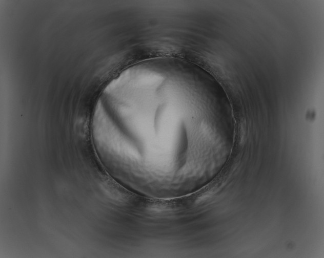 X0000091220177200708231639