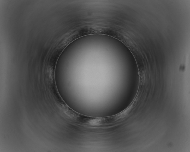 X0000091220178200708231639