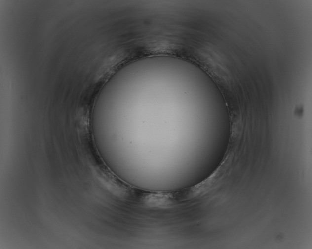 X0000091220179200708231639