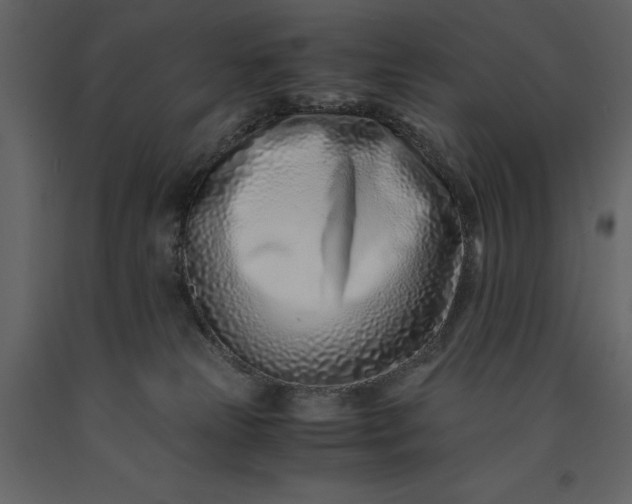 X0000091220181200708231639