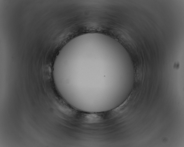 X0000091220183200708231639