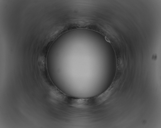 X0000091220184200708231639