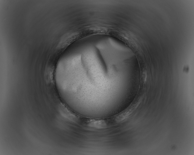 X0000091220185200708231639