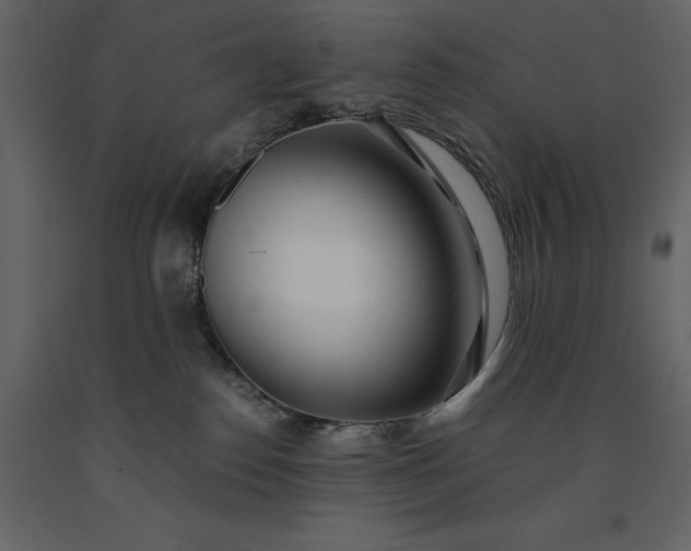 X0000091220186200708231640