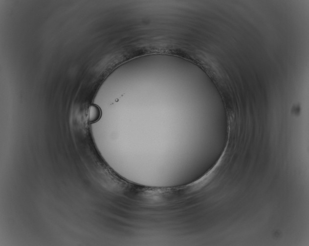 X0000091220190200708231640