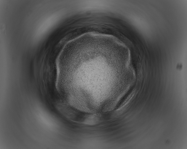 X0000091220191200708231640