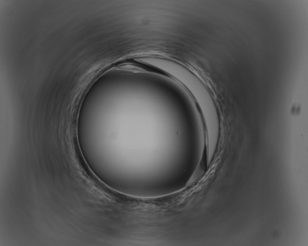 X0000091220193200708231639