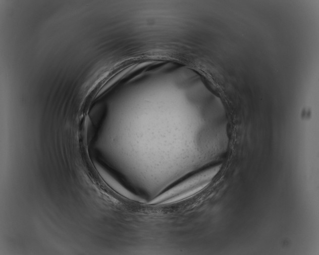 X0000091220194200708231639