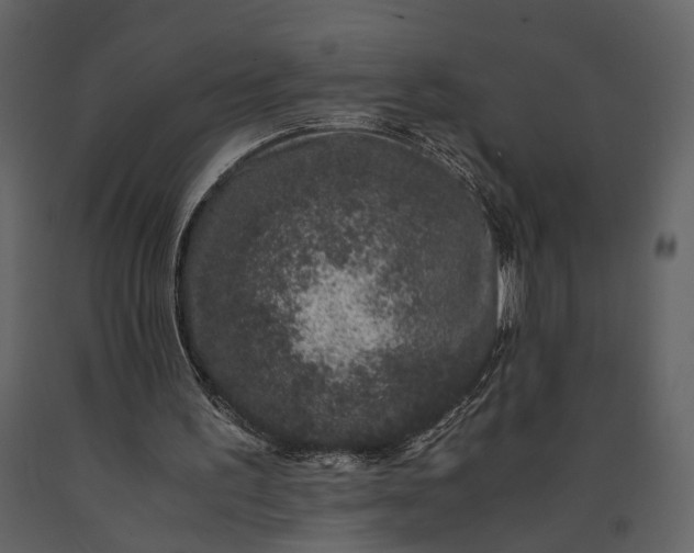 X0000091220195200708231639