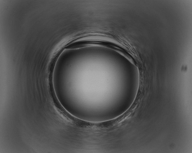 X0000091220197200708231639