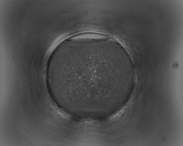 X0000091220199200708231639