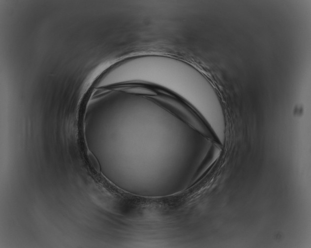 X0000091220200200708231639