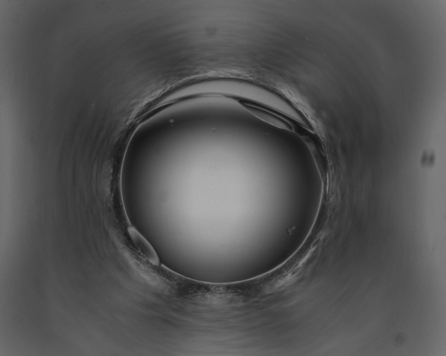 X0000091220201200708231639