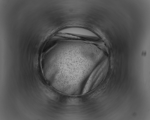 X0000091220202200708231639