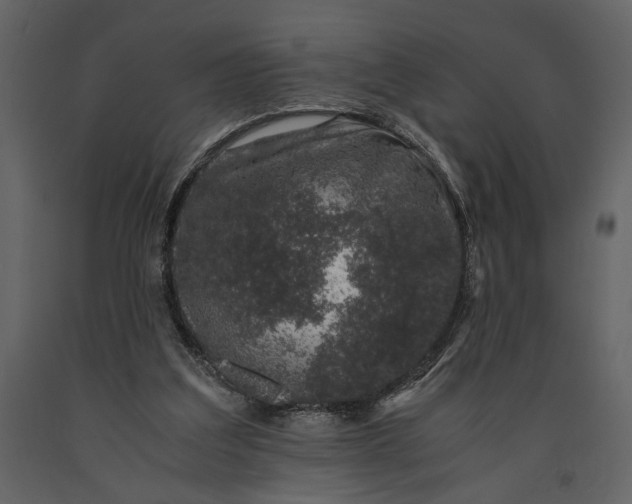 X0000091220203200708231639