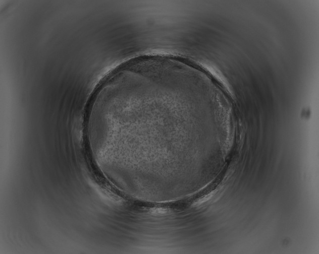 X0000091220204200708231639