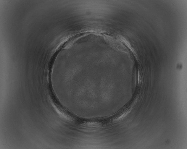 X0000091220205200708231639