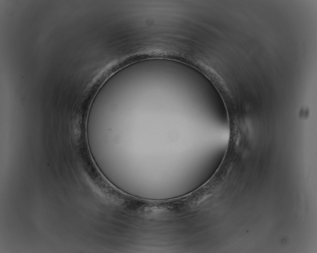 X0000091220208200708231639