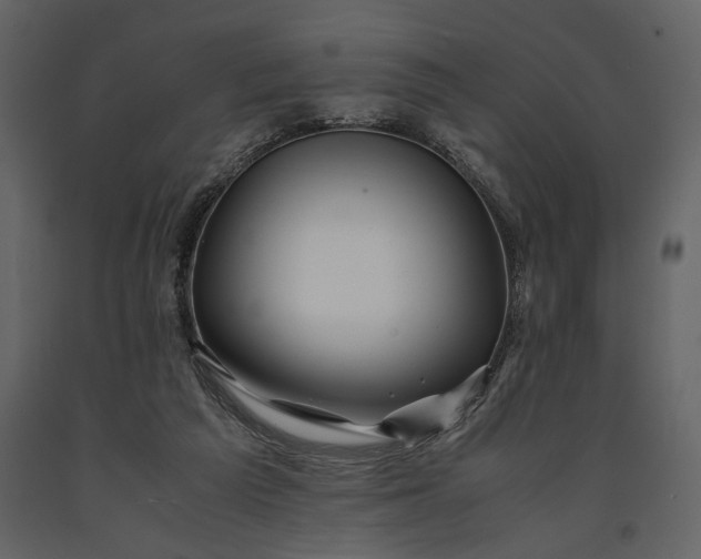 X0000091220209200708231639