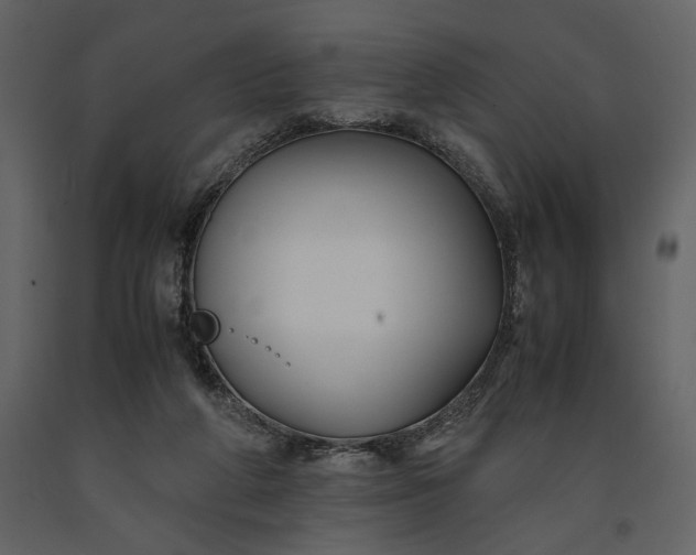 X0000091220210200708231639