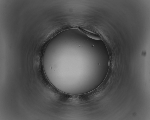 X0000091220211200708231639